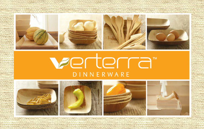 VerTerra: Q&A With CEO & Founder Michael Dwork