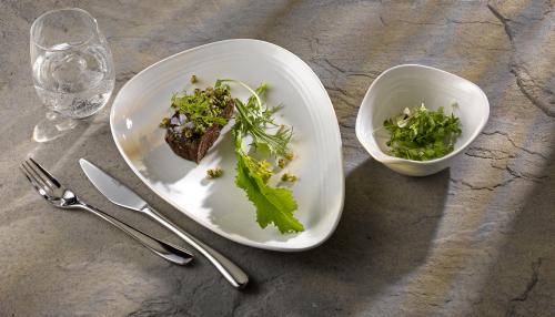 Churchill China: New DISCOVER Brings Shapes From the Wild to The Table